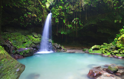 Dominica - bazen u tropskoj sumi